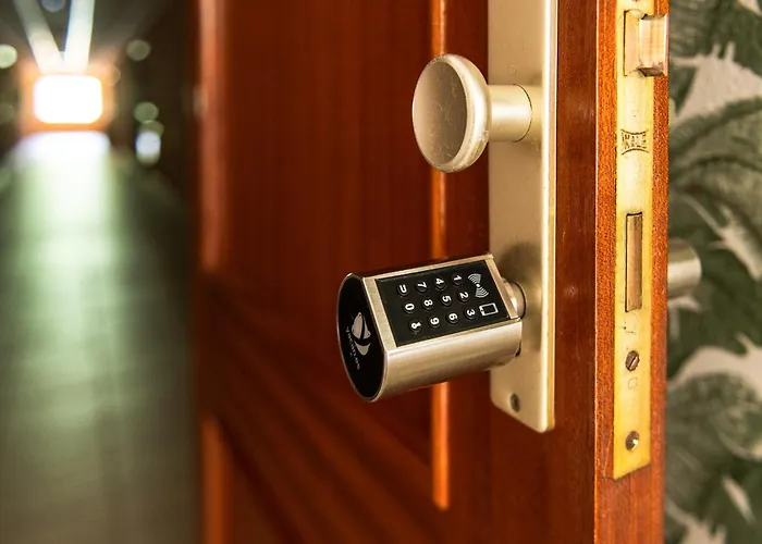 Profithome-punta Larga * カンデラリア