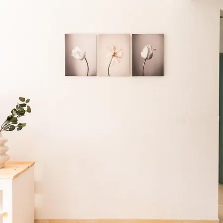 Profithome-punta Larga Apartment